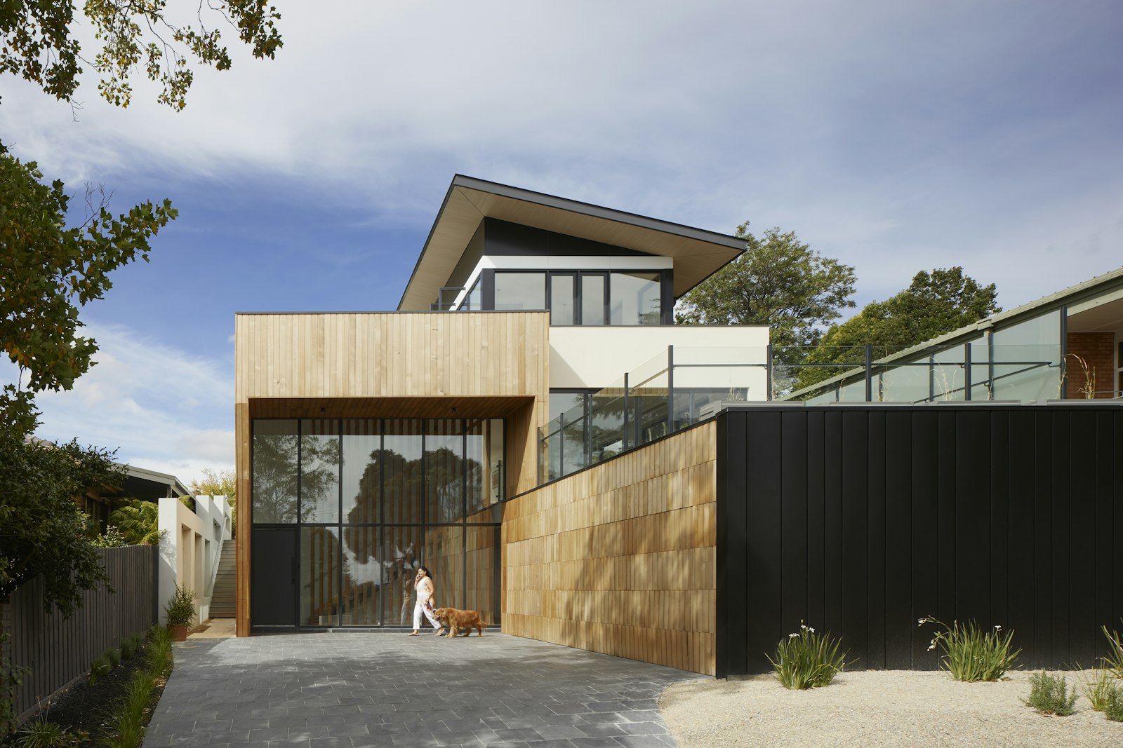 Architectural home with warm timber cladding